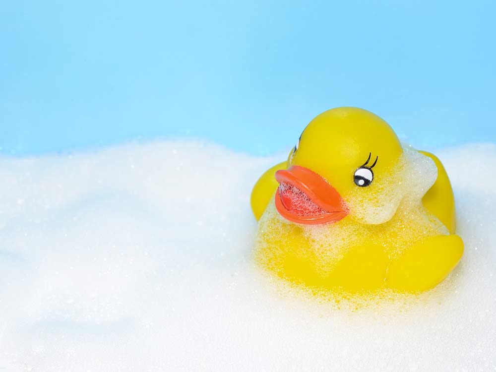 canard en plastique 11